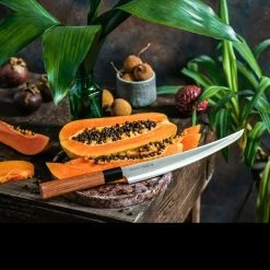 Samura Okinawa Slicing Tanto 11 Samura Okinawa Slicing Tanto -Outdoor Sport Online Shop tc so 0146tdet6 69051.1587419957